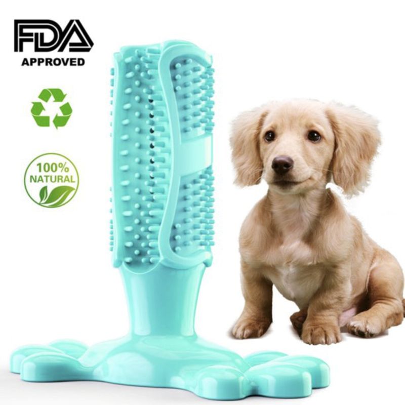 GENERICO - Palo de cepillo de dientes para perros
