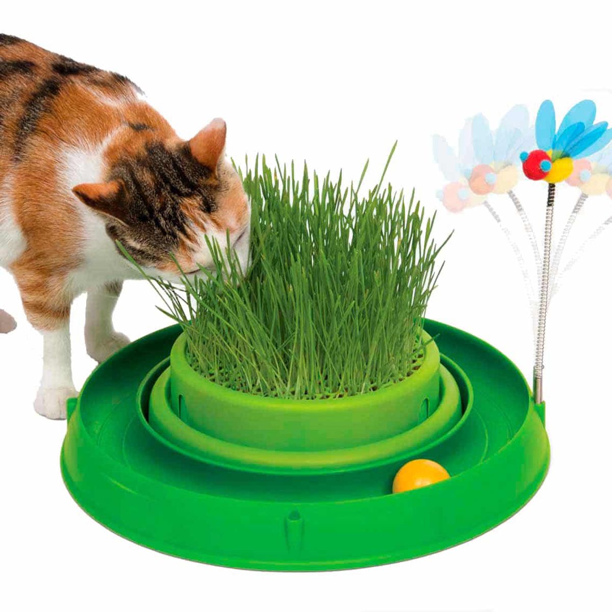 CATIT - Juguete Catit Play Circuito Interactivo 3en1 Con Pasto Gato