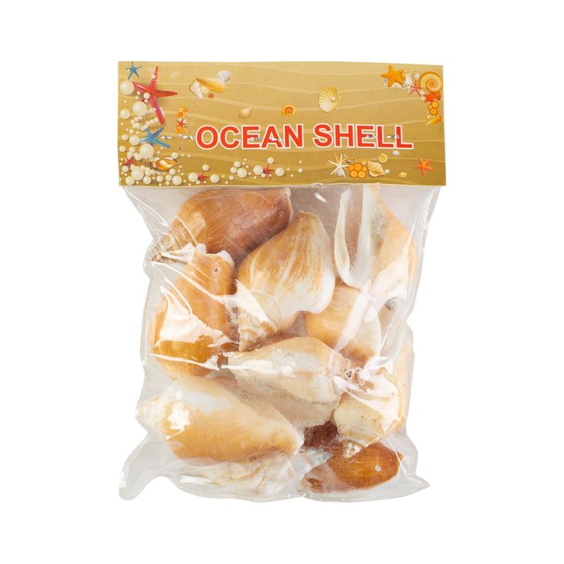 GENERICO - Conchitas De Mar Medianas  200 Grs + Nylon Para Collar F