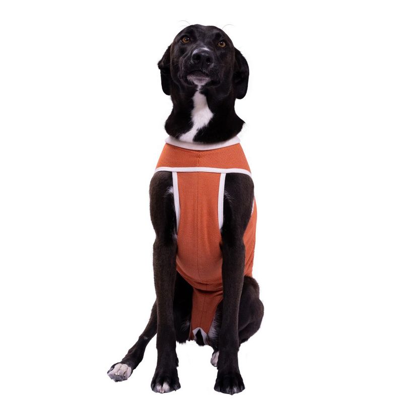 KIMBAVET - Body Cobre Kimba Tradicional - Talla 8 (17 - 21 Kg)