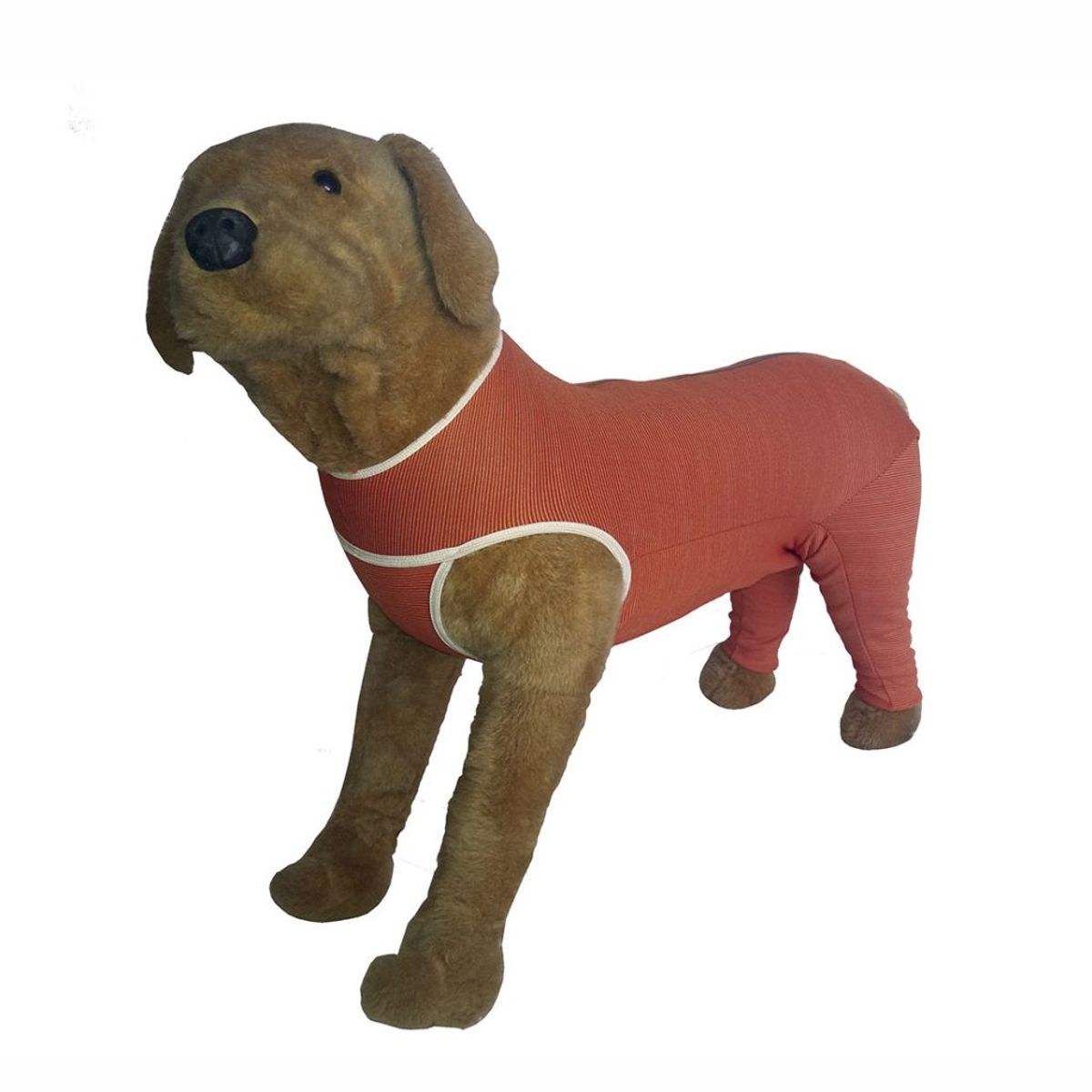 KIMBAVET - BodyCobre® Kimba Posterior - Talla 10 (25 - 30 Kg)