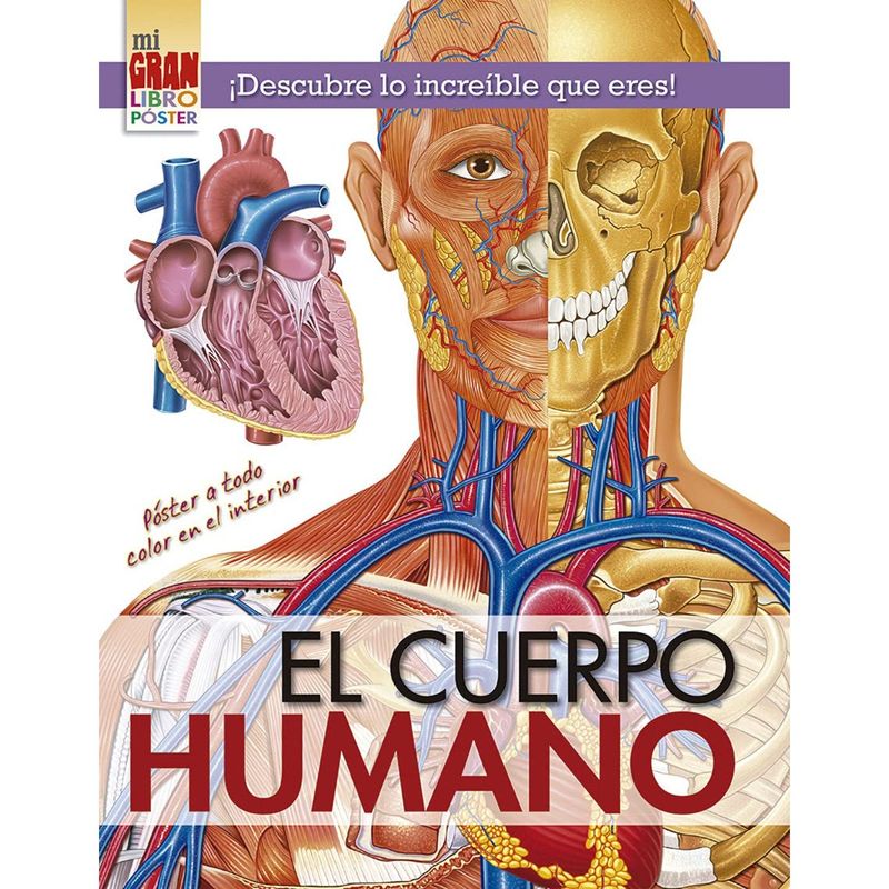 EDICIONES OBELISCO - Mii Gran Libro Póster: Cuerpo Humano
