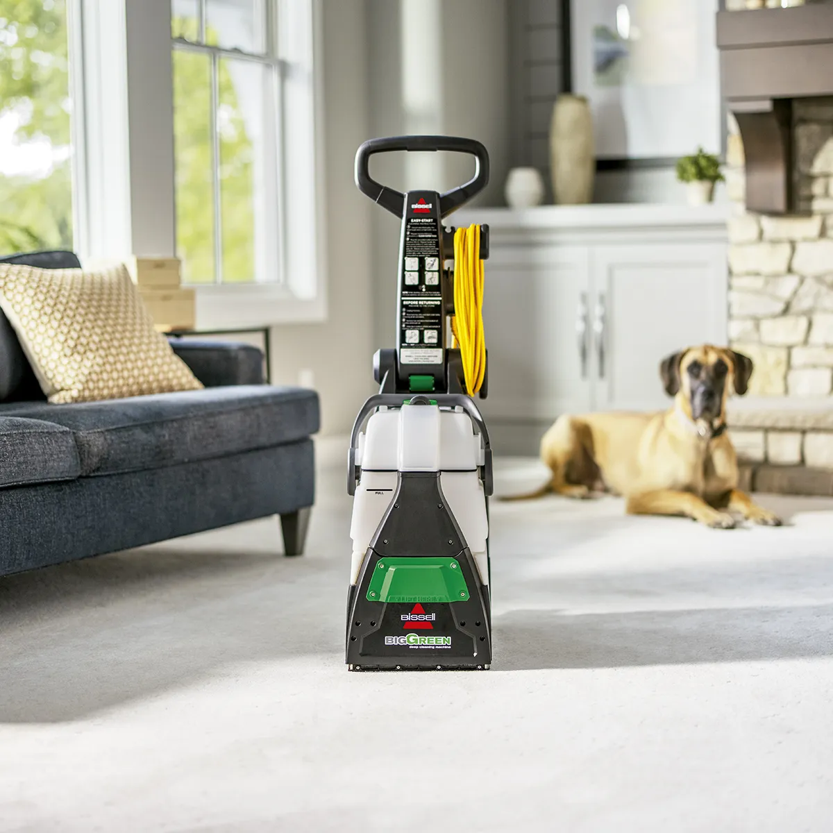 BISSELL - Lavadora de Alfombras Industrial Big Green BISSELL 48F3N