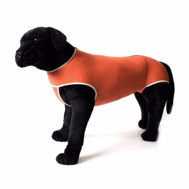 KIMBAVET - Body Cobre Kimba Castración Perro Macho - Talla 11 (30 - 35 Kg)