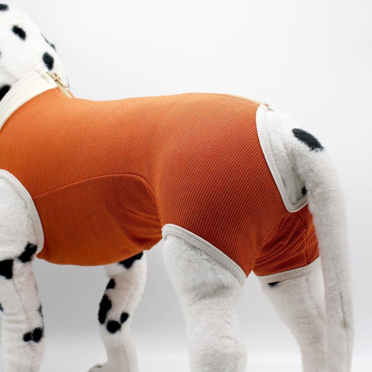 KIMBAVET - BodyCobre® Kimba Castración Macho - Talla 11 (30 - 35 Kg)