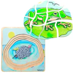 SEIGARD - Puzle 5 Capas Ciclo De Vida De La Rana 17053 Color Variado