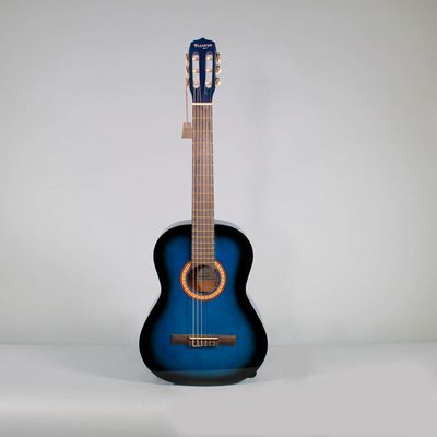 Imagen 2 del producto Guitarra acústica ARCG44 - Dark Blue Sunburst