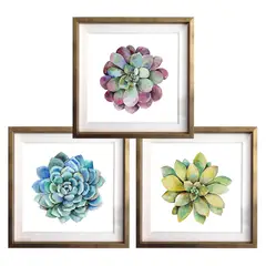 PAPEL ILUSTRADO - Set 3 Cuadros Dorado Suculentas 30X30