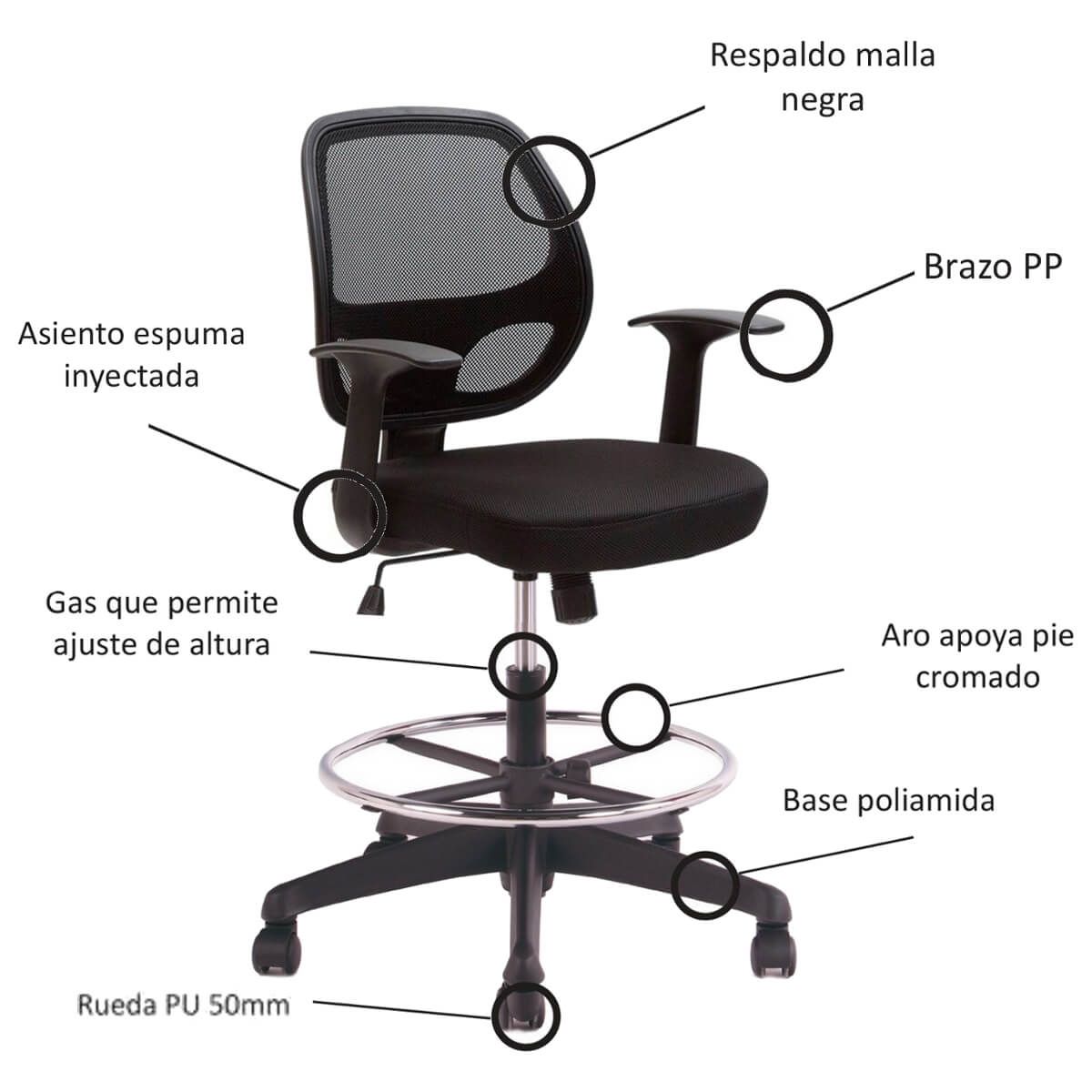 BOOKSTORE - Silla Cajero Génova con Brazos Aro Cromado