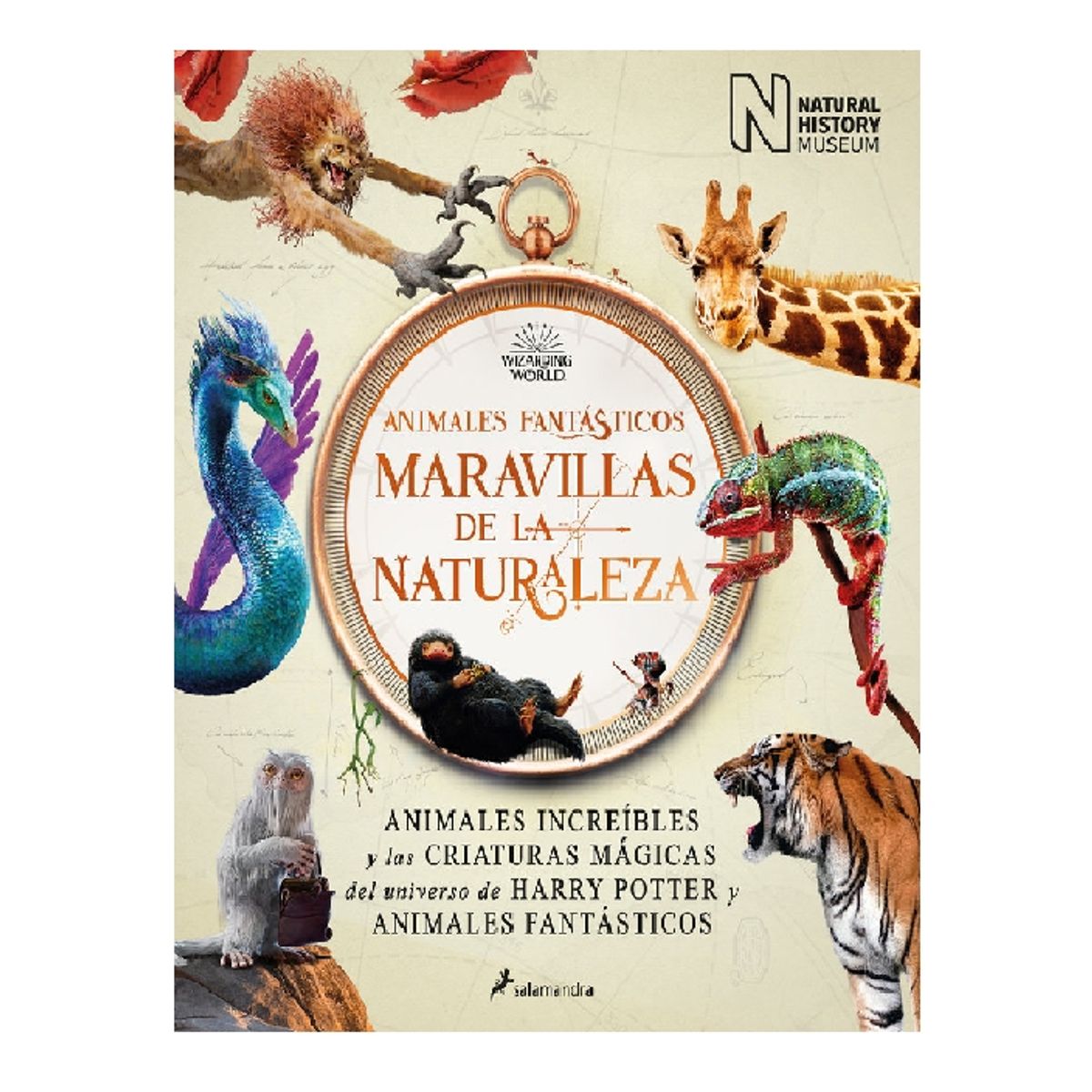 SALAMANDRA - ANIMALES FANTASTICOS MARAVILLAS DE LA NATURALEZA