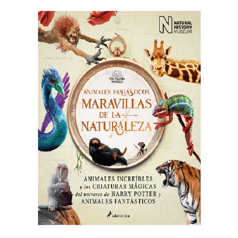 SALAMANDRA - ANIMALES FANTASTICOS MARAVILLAS DE LA NATURALEZA