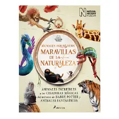 SALAMANDRA - ANIMALES FANTASTICOS MARAVILLAS DE LA NATURALEZA