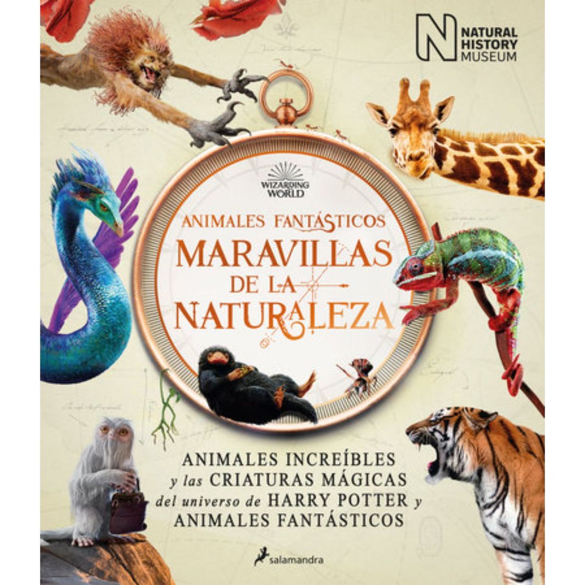 SALAMANDRA - Animales Fantásticos. Maravillas De La Naturaleza