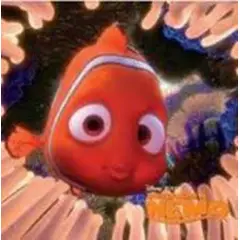 TOP10BOOKS - LIBRO Buscando A Nemo - Buscando A Nemo