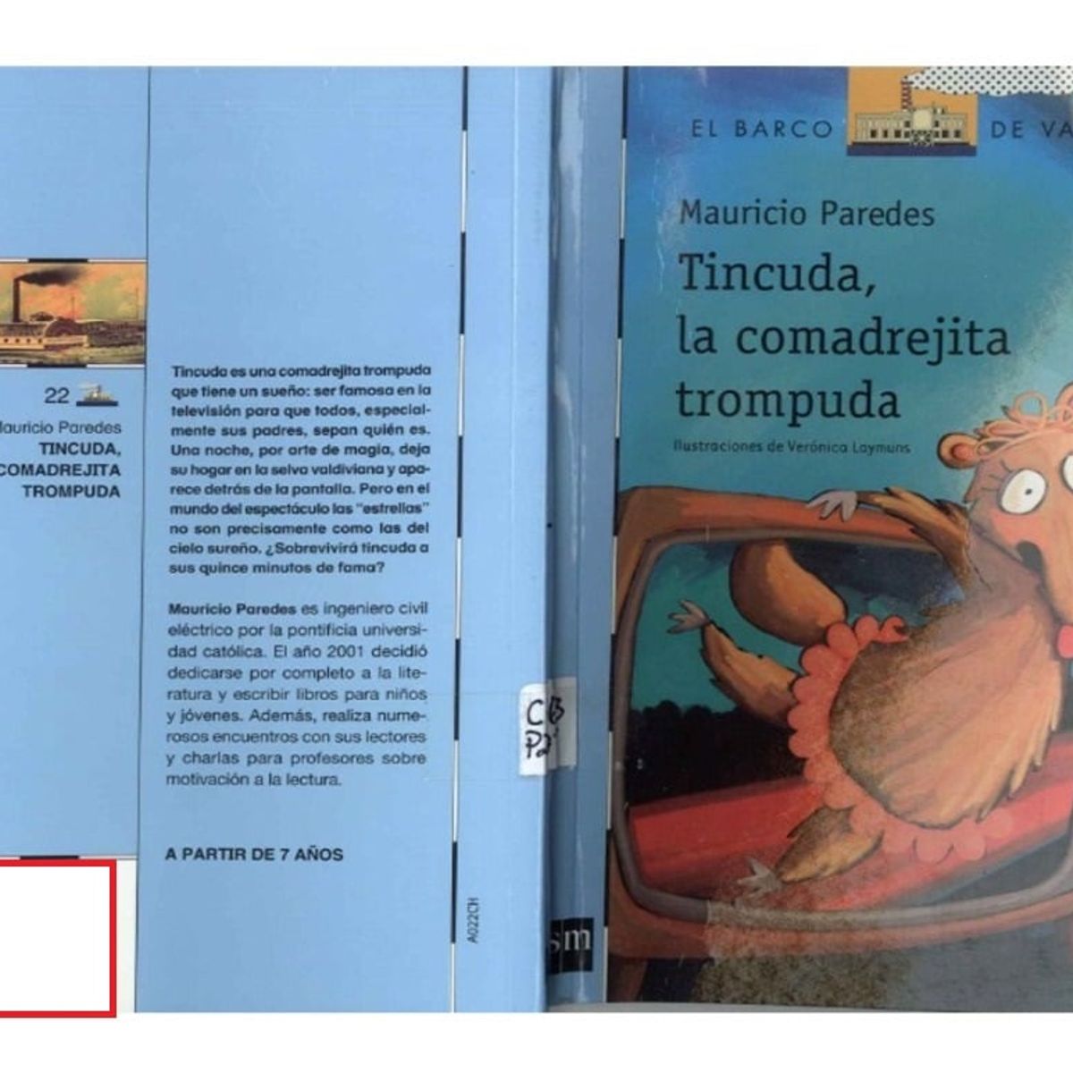 TOP10BOOKS - LIBRO Tincuda, La Comadrejita Trompuda - Loran