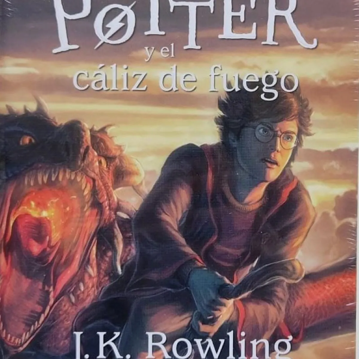 TOP10BOOKS - LIBRO Harry Potter Y El Cáliz De Fuego - Harry Potter Y El Cáliz De Fuego
