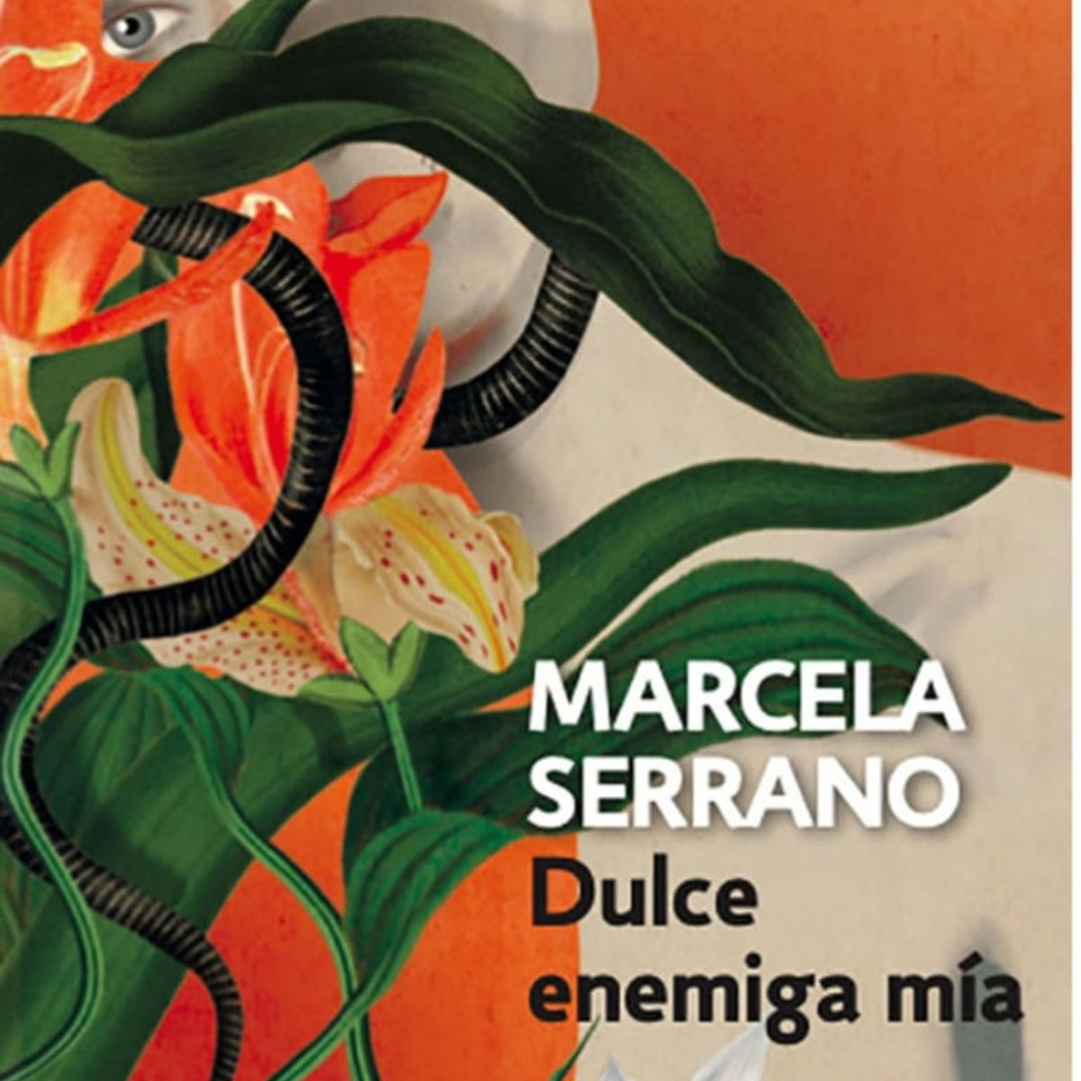 TOP10BOOKS - Libro Dulce Enemiga Mia -289-