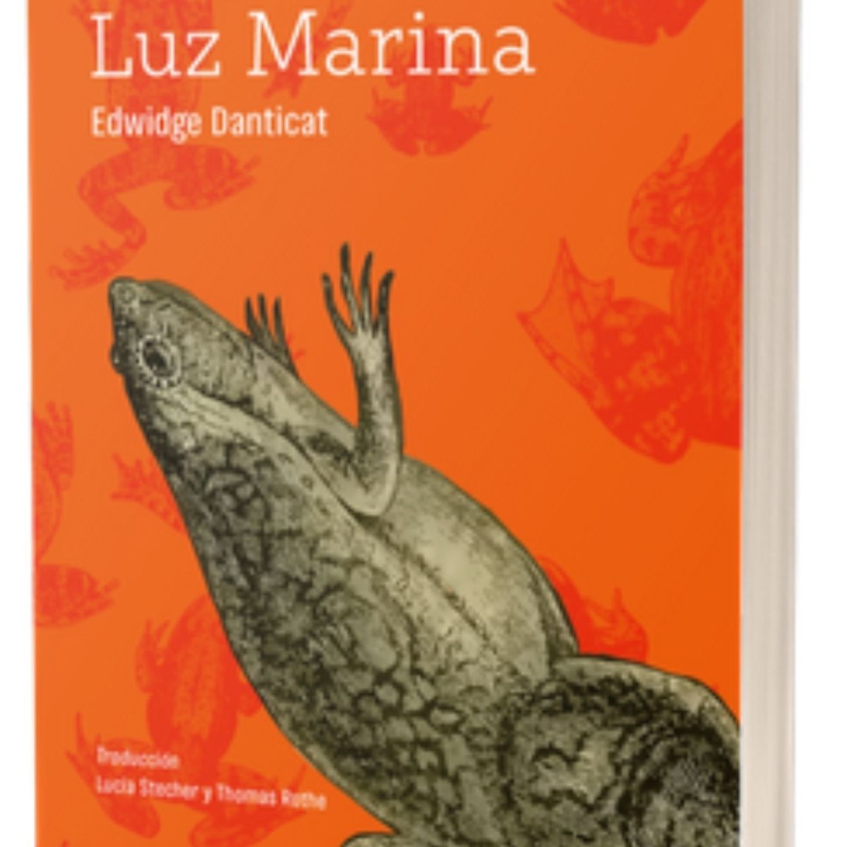 TOP10BOOKS - Libro Claire De Luz Marina -110-