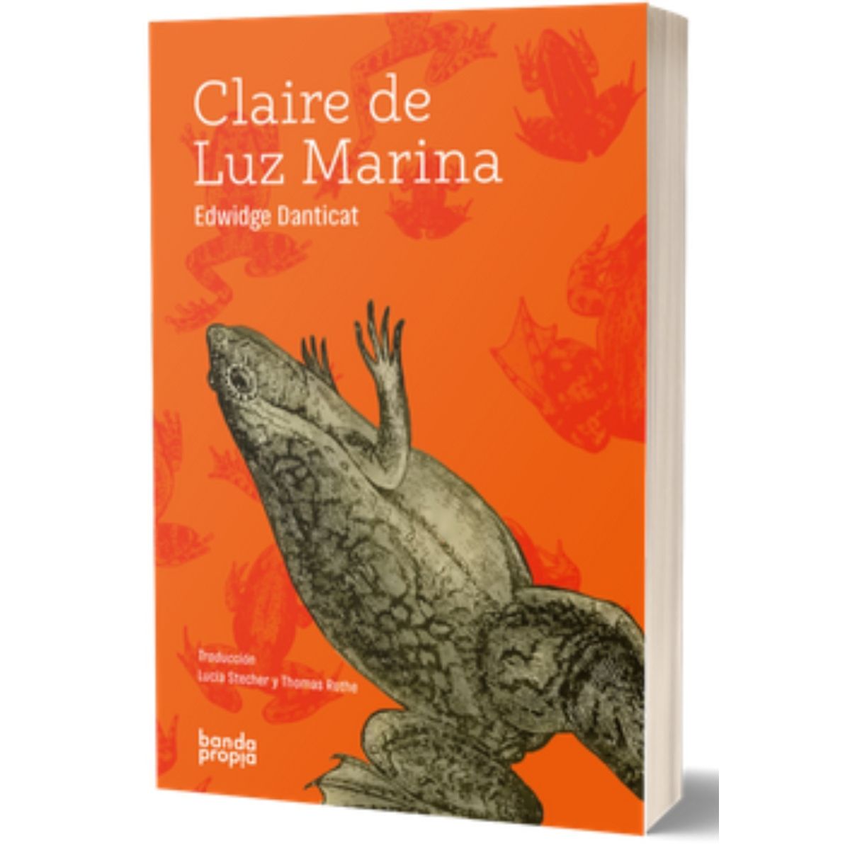 TOP10BOOKS - Libro Claire De Luz Marina -110-