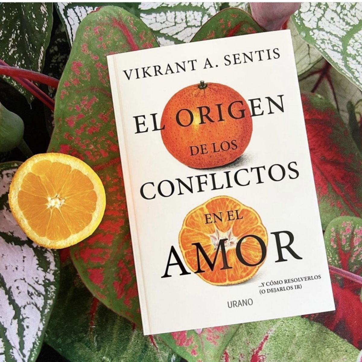TOP10BOOKS - LIBRO Libro El Origen De Los Conflictos En El Amor