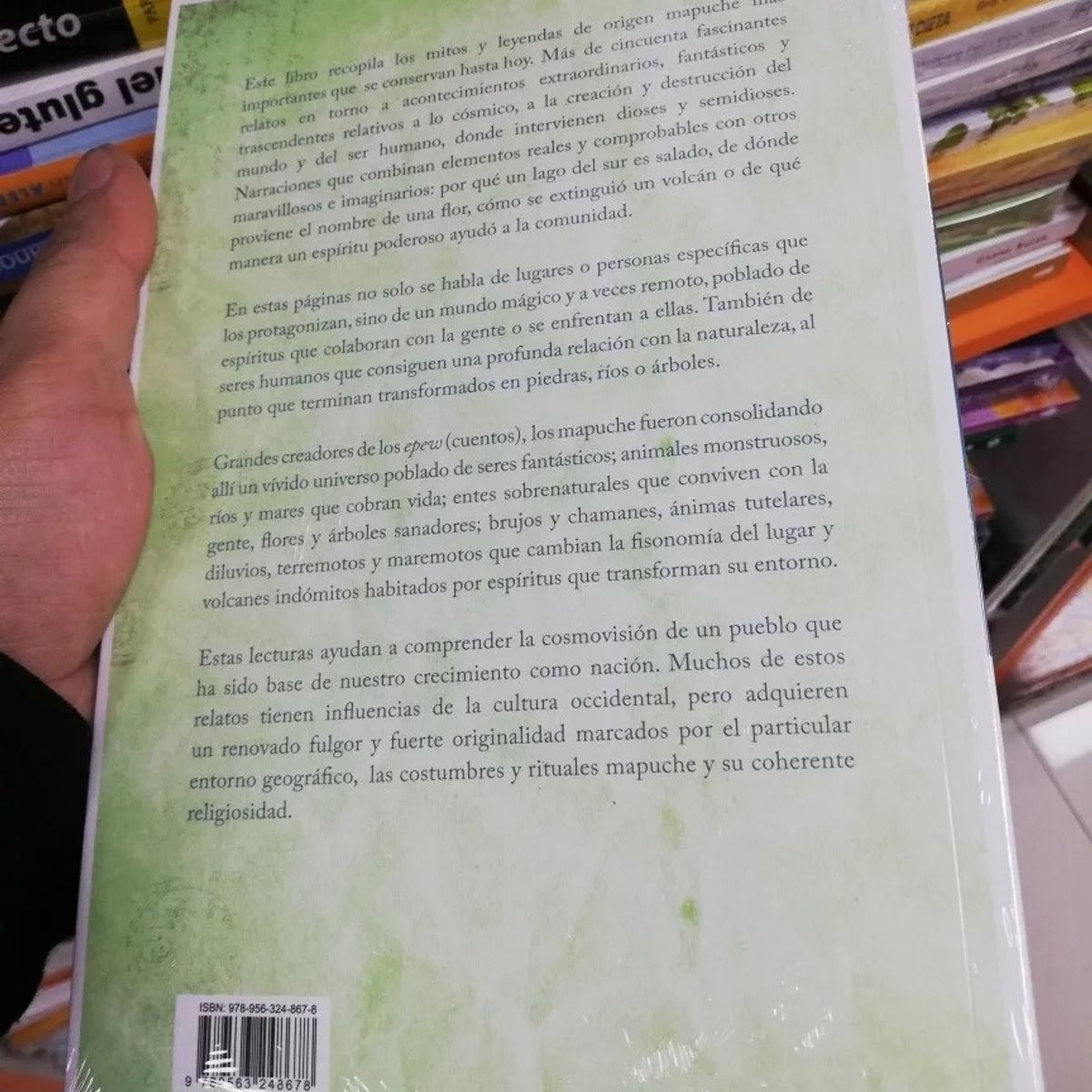 TOP10BOOKS - LIBRO Mitos Y Leyendas Del Pueblo Mapuche.