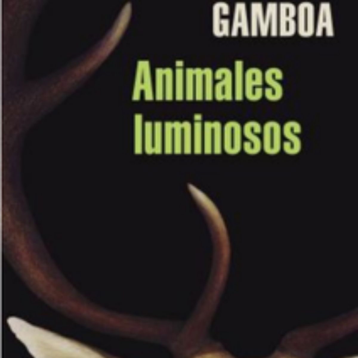 TOP10BOOKS - LIBRO Animales Luminosos De La Noche - Animales Luminosos De La Noche