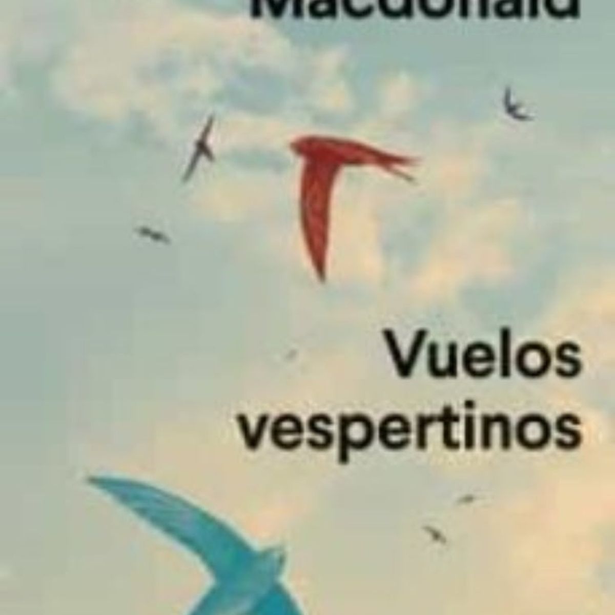 TOP10BOOKS - LIBRO Vuelos Vespertinos - Vuelos Vespertinos