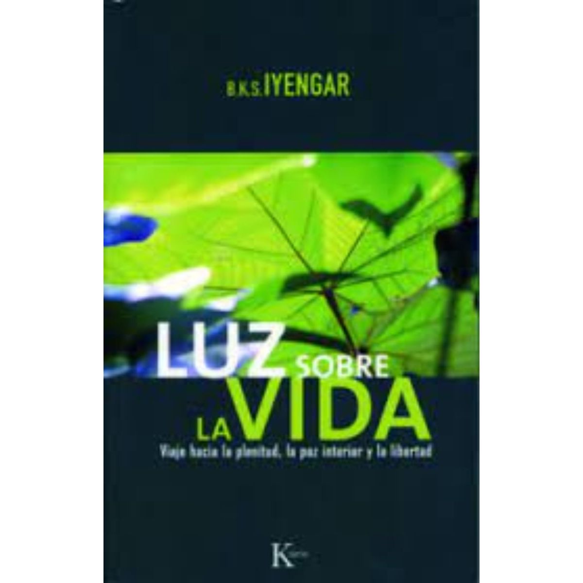 TOP10BOOKS - LIBRO Luz Sobre La Vida - Luz Sobre La Vida