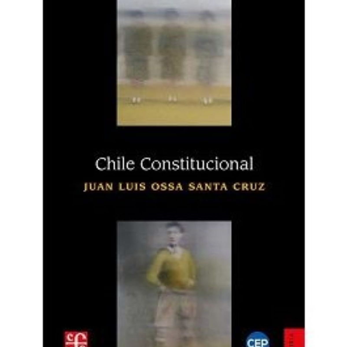 TOP10BOOKS - LIBRO Chile Constitucional - Chile Constitucional