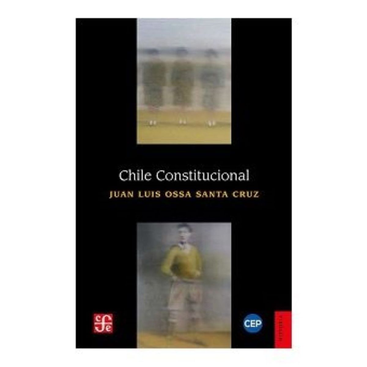 TOP10BOOKS - LIBRO Chile Constitucional - Chile Constitucional