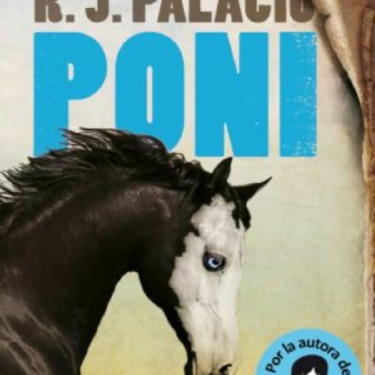TOP10BOOKS - LIBRO Poni - Poni