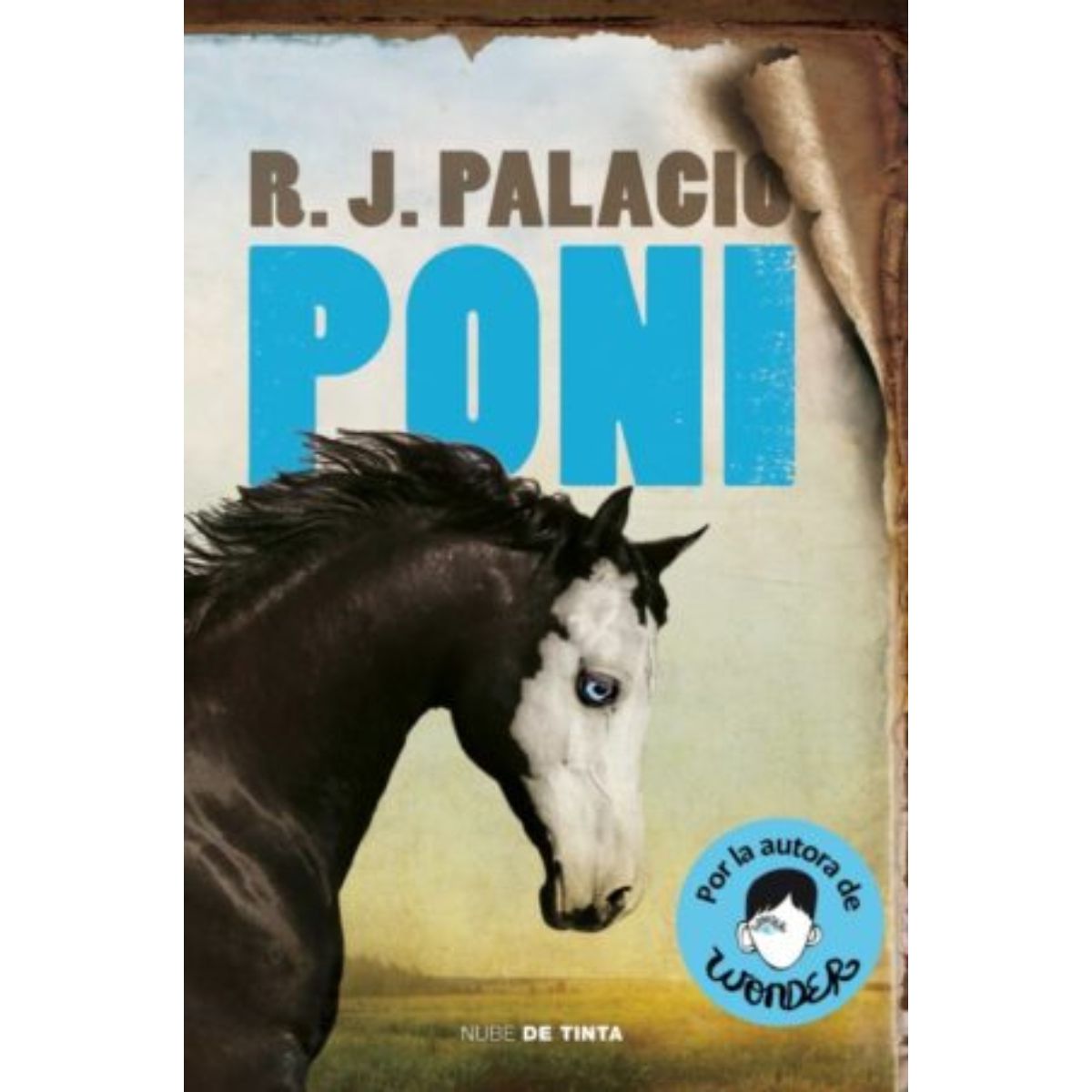TOP10BOOKS - LIBRO Poni - Poni