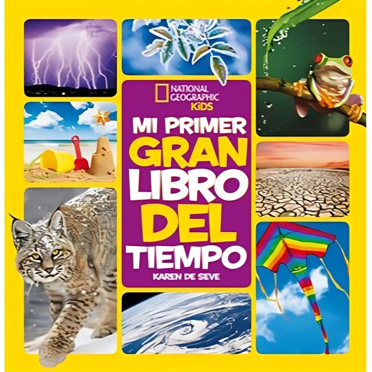 TOP10BOOKS - LIBRO MI Primer Gran Libro Del Tiempo - Mi Primer Gran Libro Del Tiempo