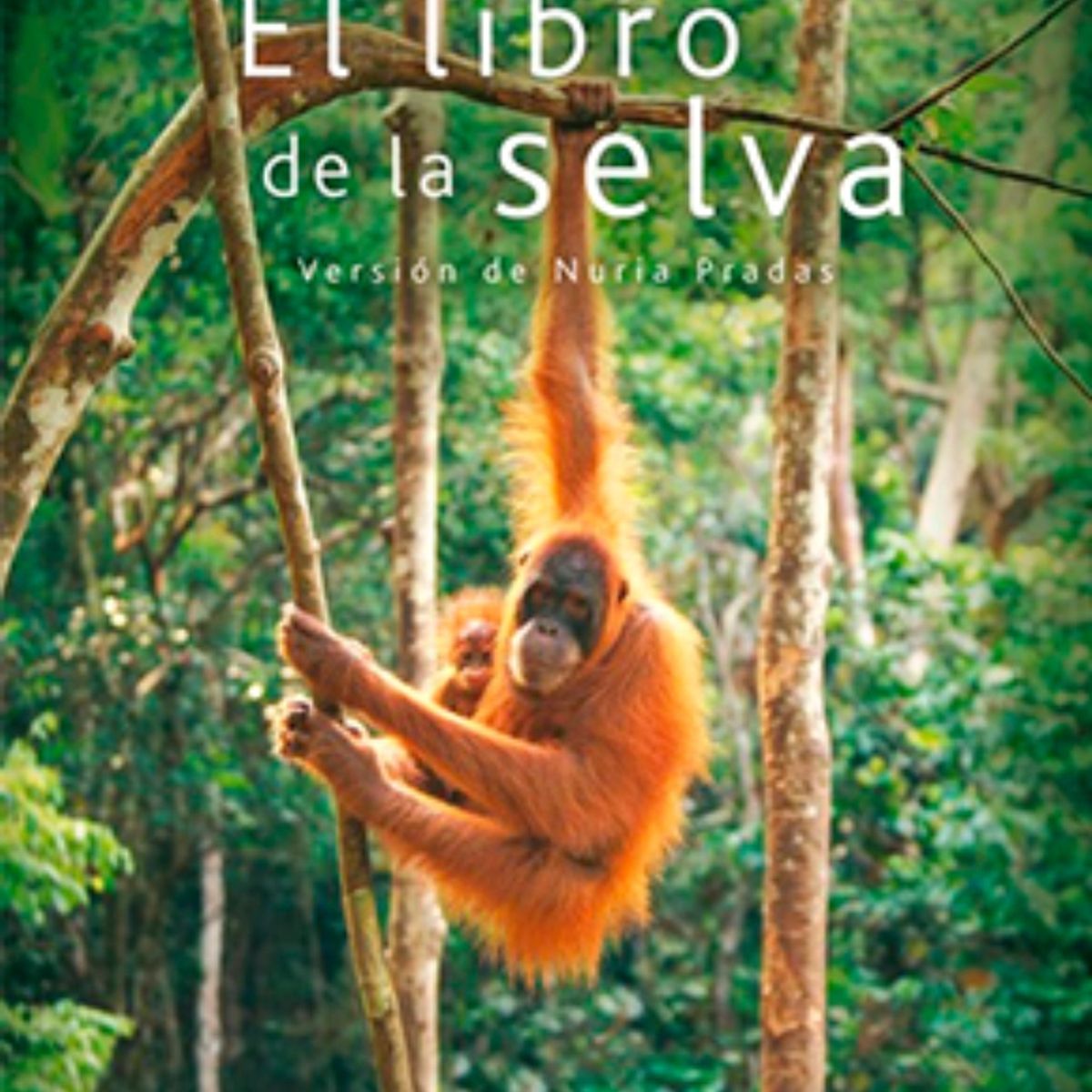TOP10BOOKS - LIBRO El Libro De La Selva - El Libro De La Selva