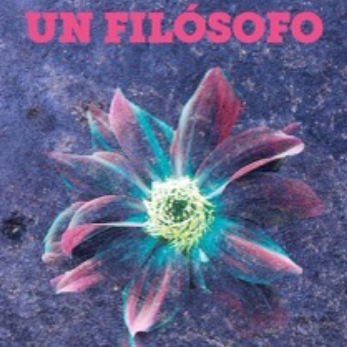 TOP10BOOKS - LIBRO Un Filosofo - Un Filosofo