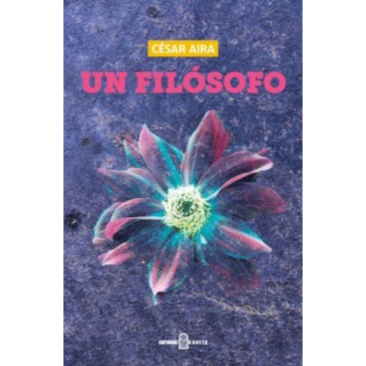 TOP10BOOKS - LIBRO Un Filosofo - Un Filosofo