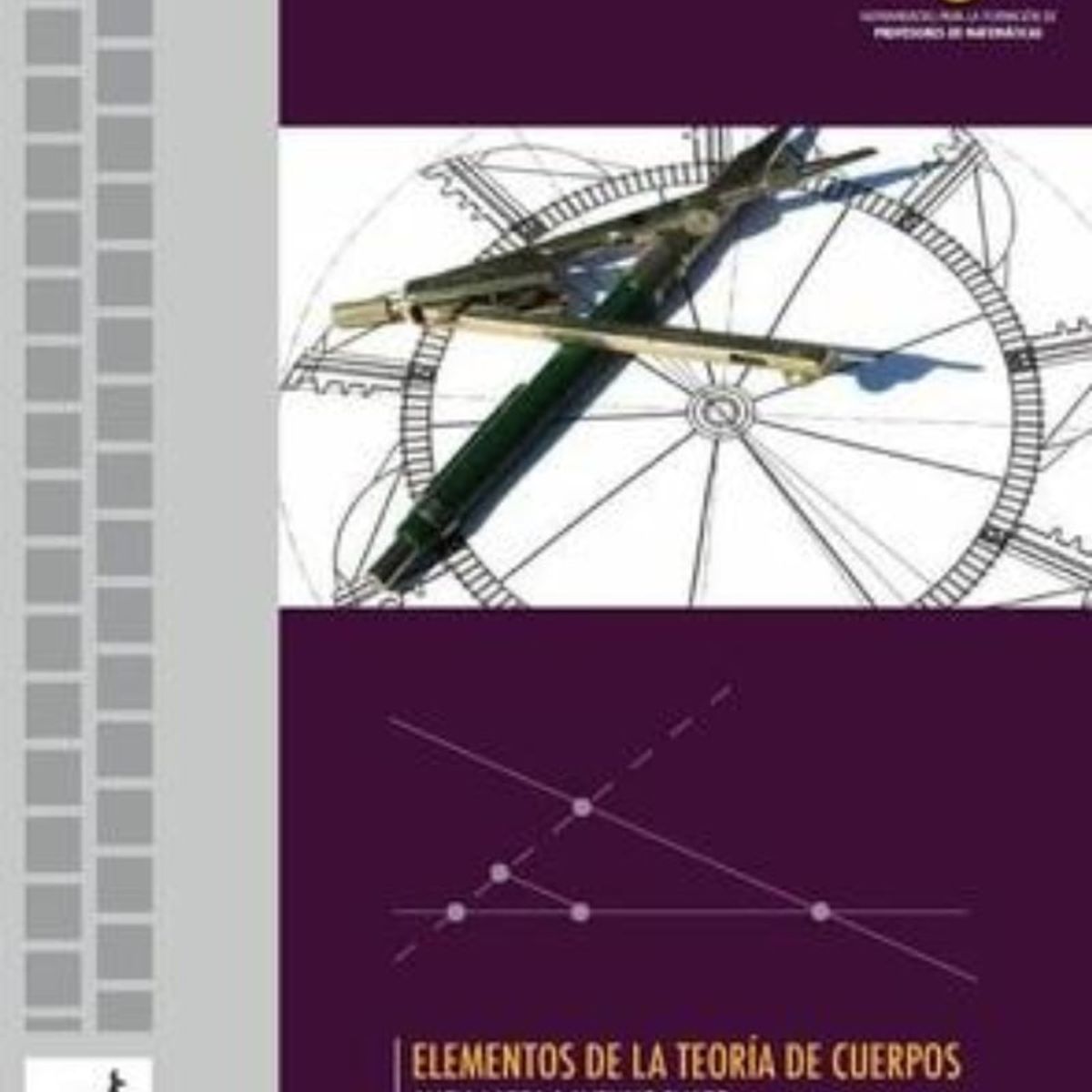 TOP10BOOKS - LIBRO Elementos De La Teoría De Cuerpos - Elementos De La Teoría De Cuerpos