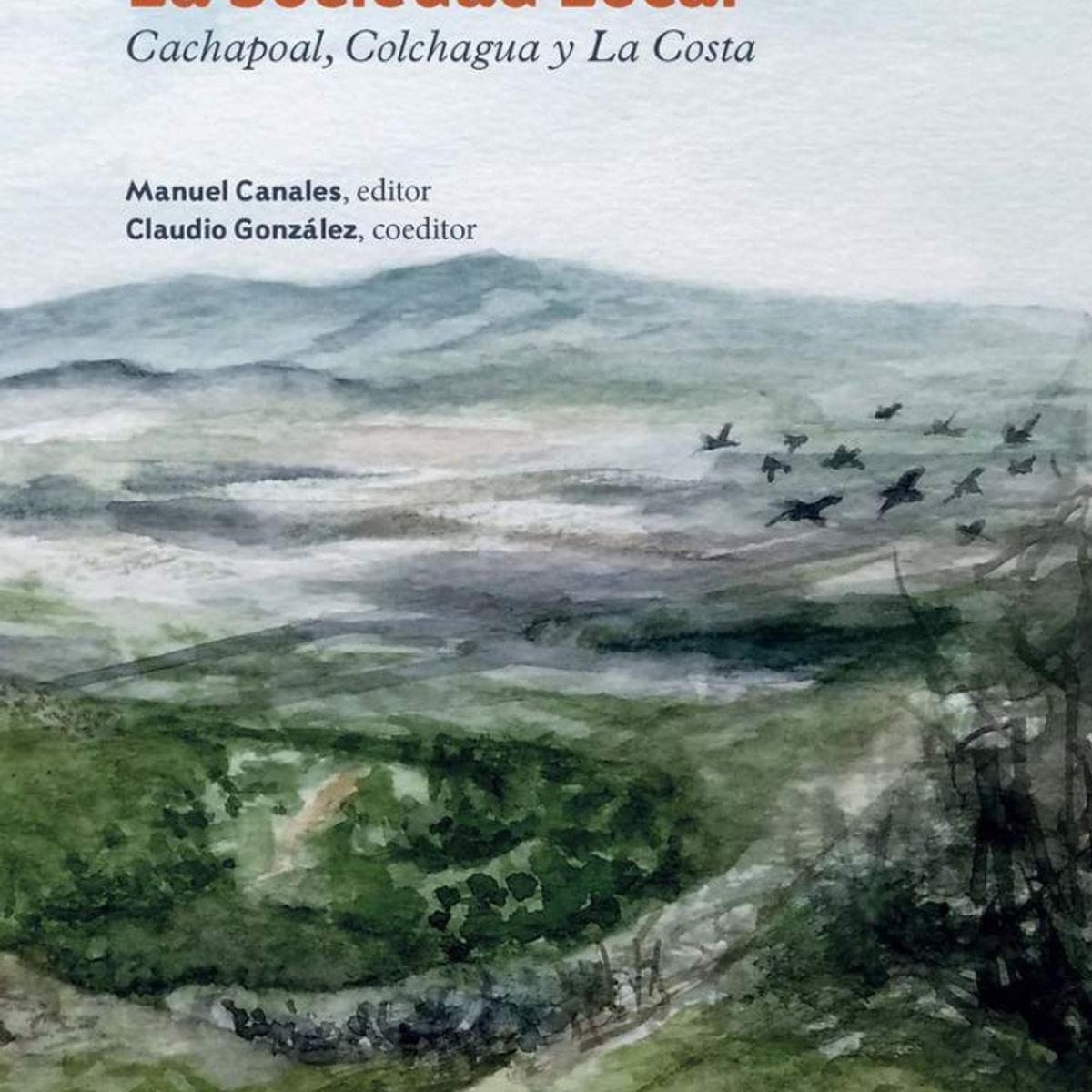 TOP10BOOKS - LIBRO La Sociedad Local - La Sociedad Local