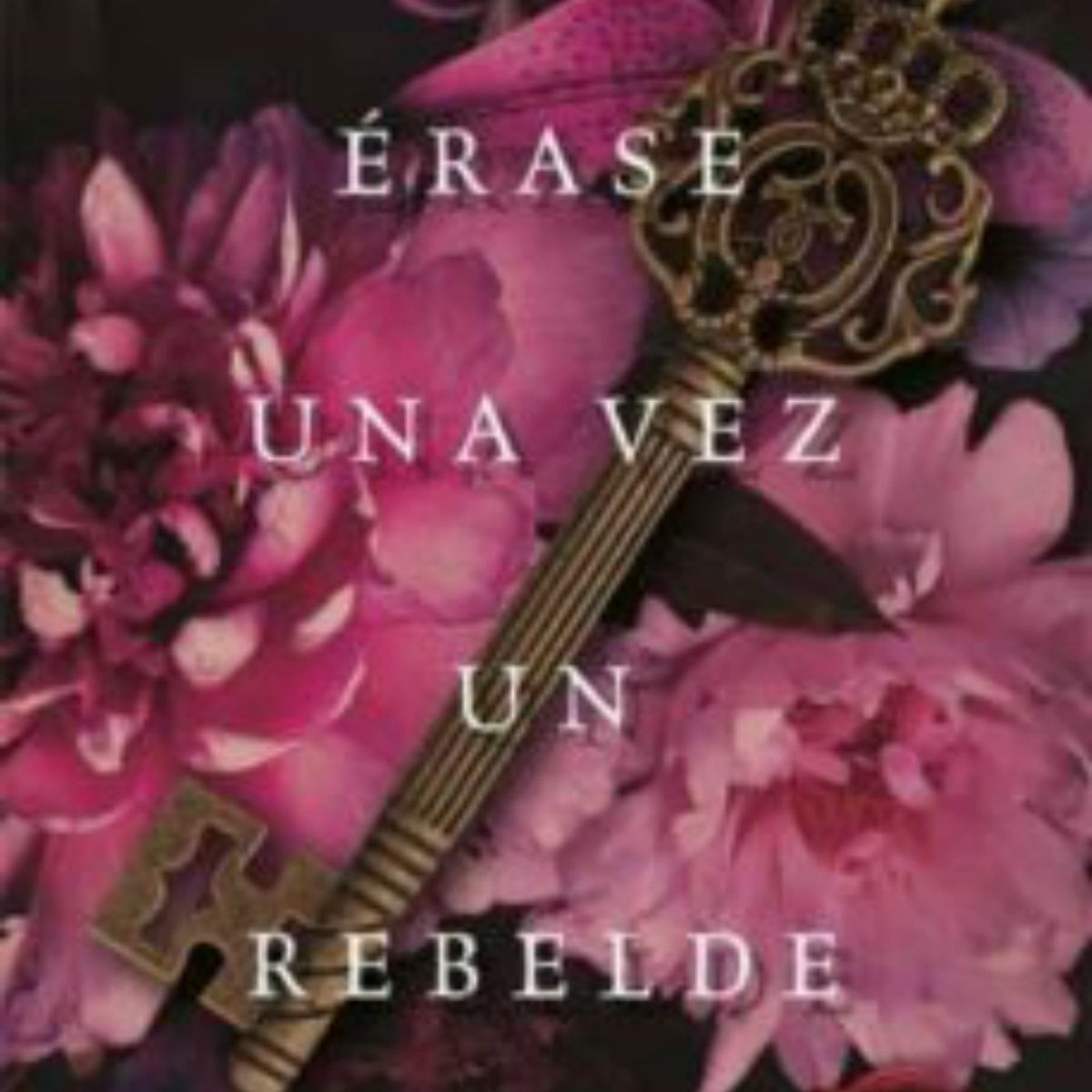 TOP10BOOKS - LIBRO Erase Una Vez Un Rebelde - Erase Una Vez Un Rebelde