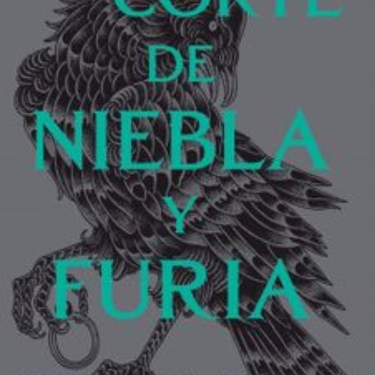 TOP10BOOKS - LIBRO Una Corte De Niebla Y Furia - Una Corte De Niebla Y Furia