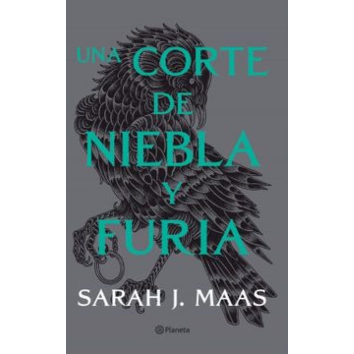 TOP10BOOKS - LIBRO Una Corte De Niebla Y Furia - Una Corte De Niebla Y Furia