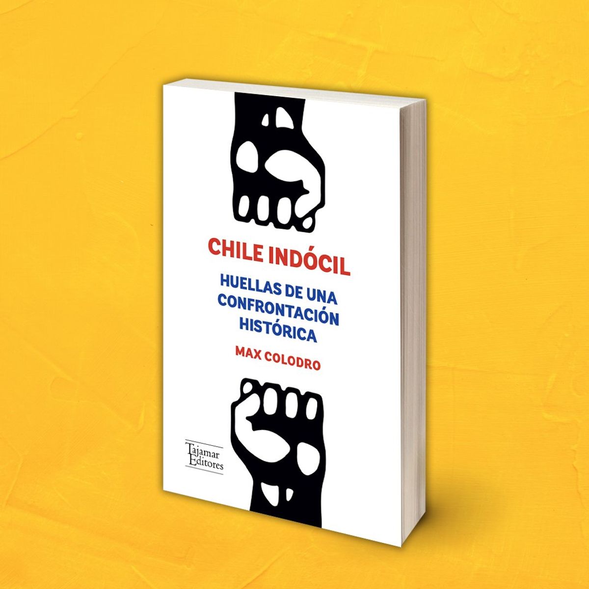 TOP10BOOKS - LIBRO Chile Indocil - Chile Indocil