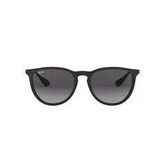 RAY BAN - Lentes de Sol Erika Negro