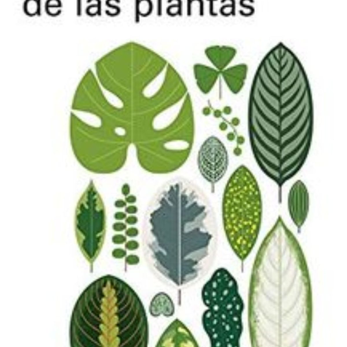 TOP10BOOKS - LIBRO La Nacion De Las Plantas - La Nacion De Las Plantas