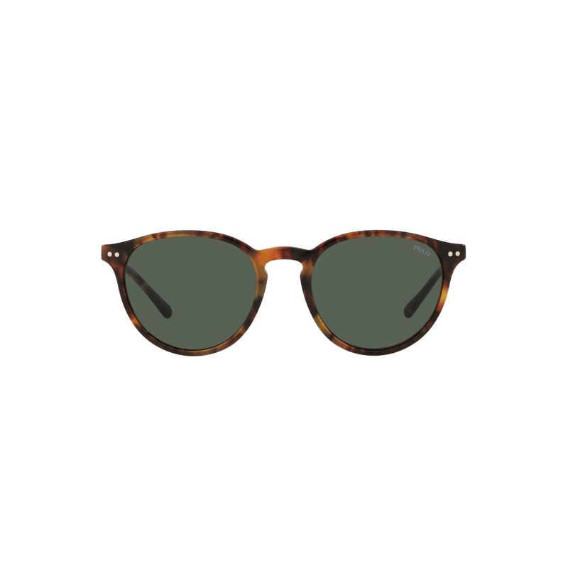 POLO - Lentes de Sol Shiny Jerry Tortoise