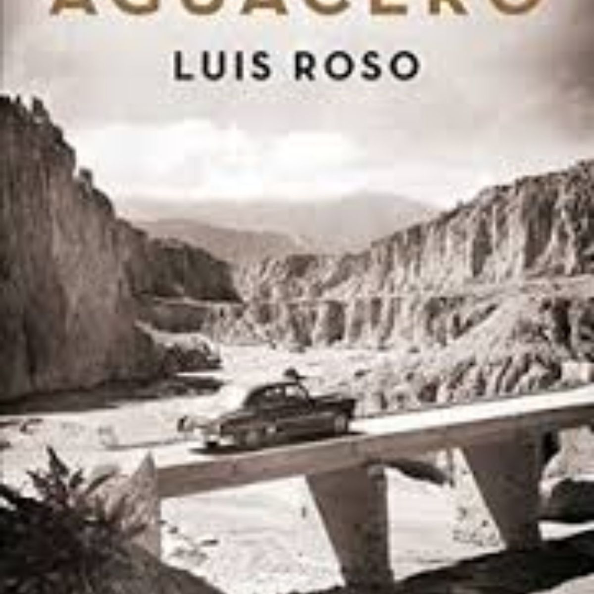 TOP10BOOKS - Libro Aguacero -215-