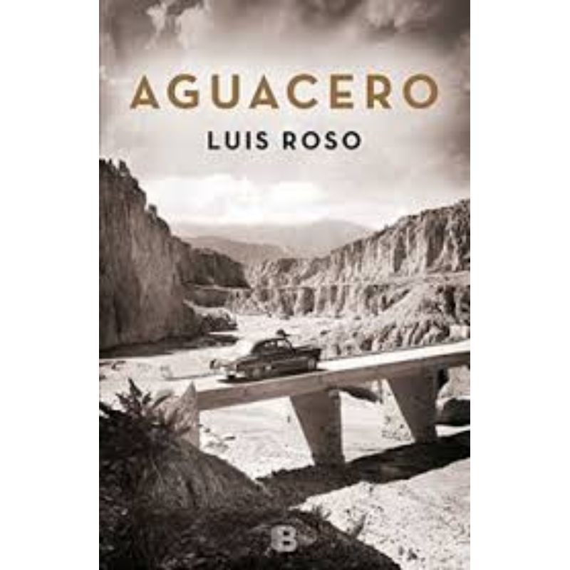 TOP10BOOKS - Libro Aguacero -215-