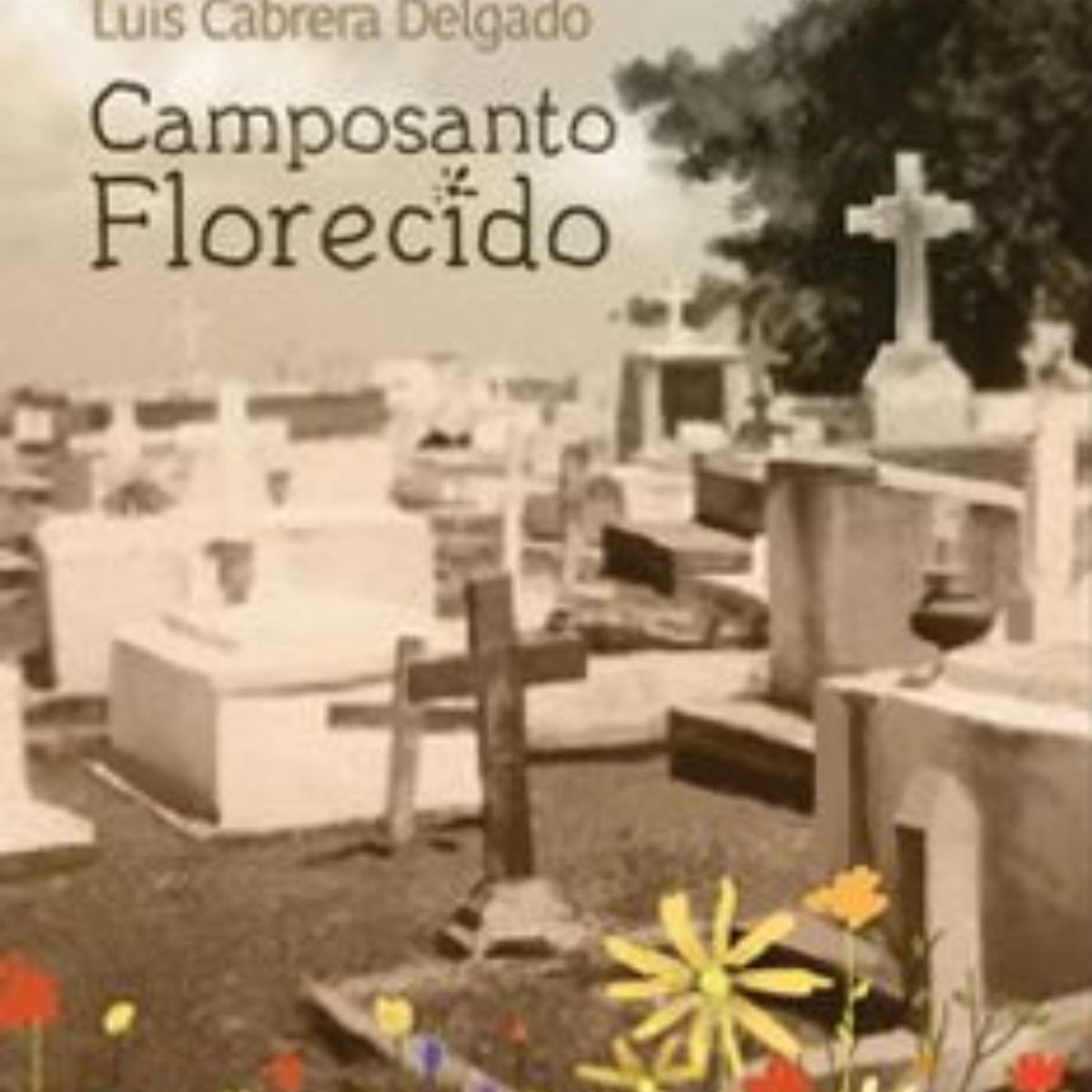 TOP10BOOKS - LIBRO Campo Santo Florecido - Campo Santo Florecido