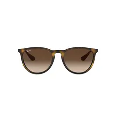 RAY BAN - Lentes de Sol Erika Havana