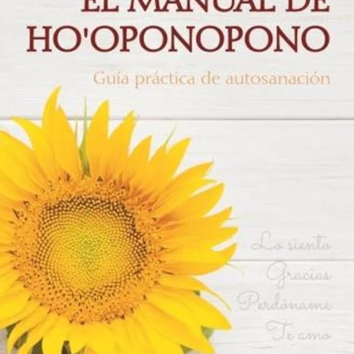 TOP10BOOKS - LIBRO El Manual De Ho'oponopono - Andrea Bruno